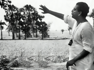 সত্যজিৎ রায়