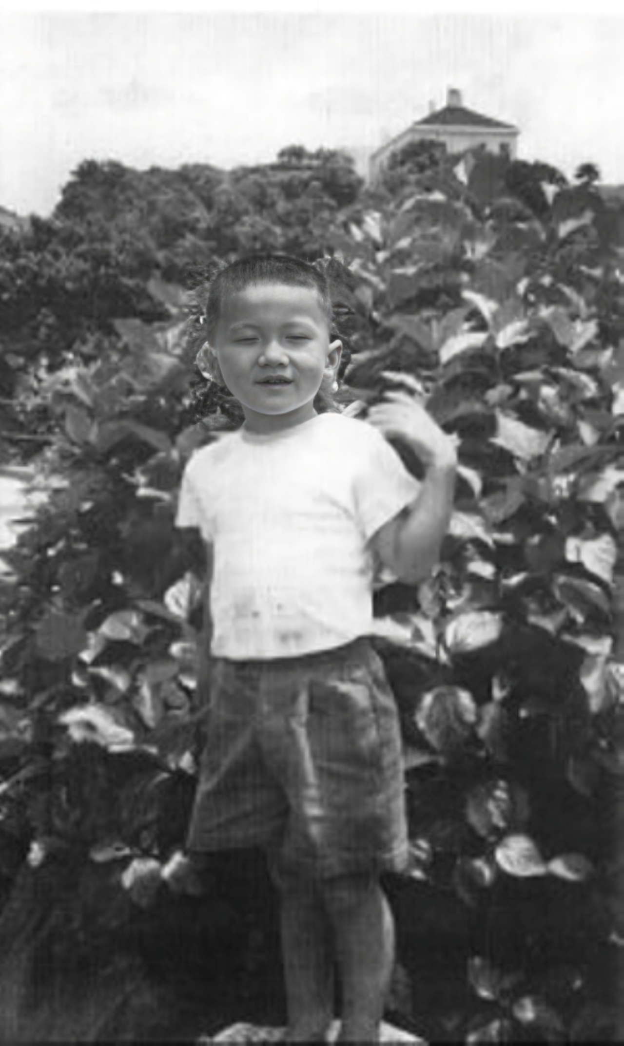  ১. জন্মের সময়ই তাঁর নাম হতে পারত “ক্যাননবল”!জ্যাকি চ্যান জন্মেছিলেন ১৯৫৪ সালের ৭ এপ্রিল, হংকংয়ের ভিক্টোরিয়া পিকে। জন্মের সময় তাঁর ওজন ছিল প্রায় ১২ পাউন্ড! ডাক্তাররা বলেছিলেন, এতো বড় বাচ্চা তাঁরা আগে কখনও দেখেননি। তাঁর মা-বাবা মজা করে তাঁকে ডাকতেন “পাও চ্যু”—যার মানে হলো “তোপের গোলা”! ভাবা যায়?